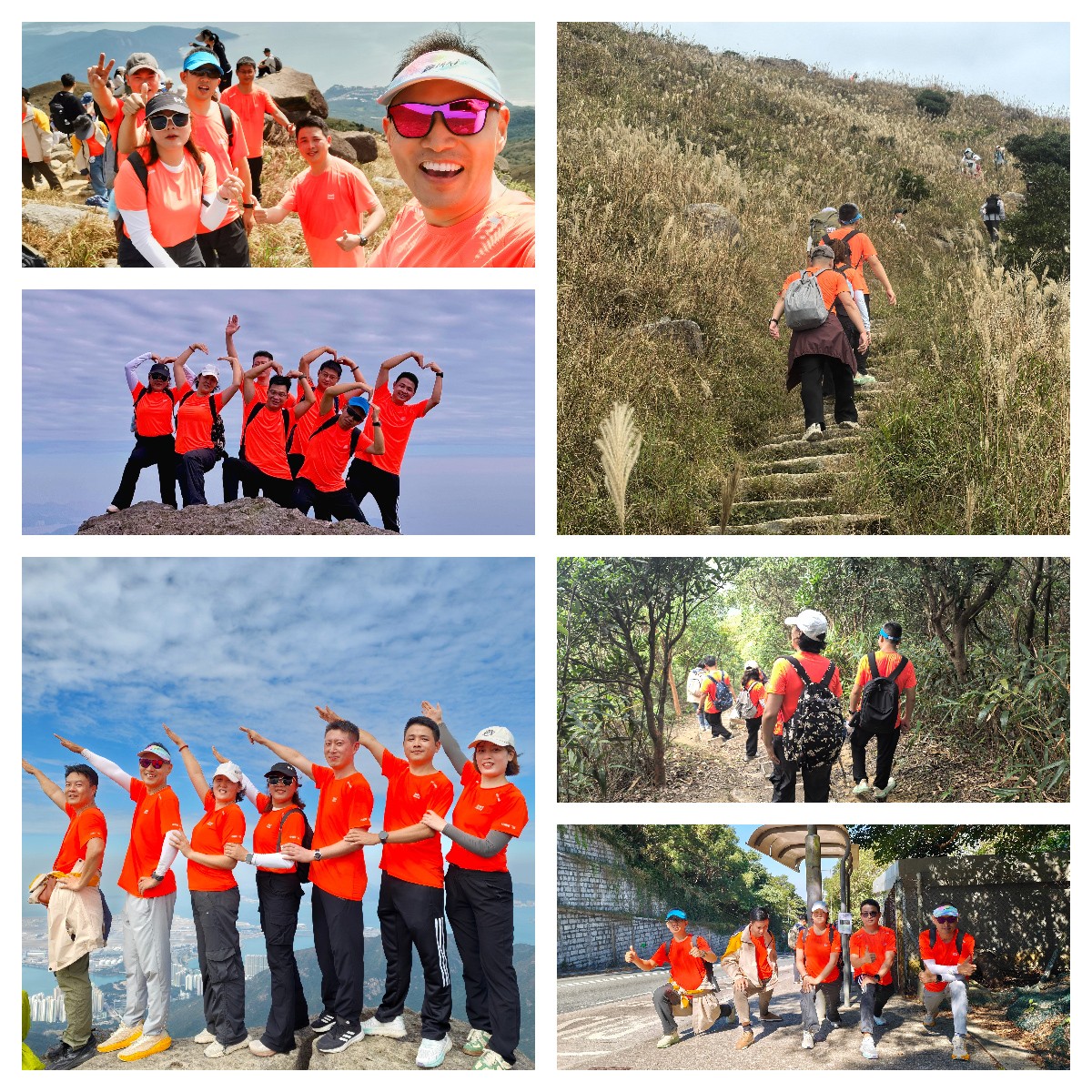 1764553798538257.jpg 1764553798538257.jpg